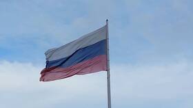 Чем нарисовать триколор на лице в Домовой