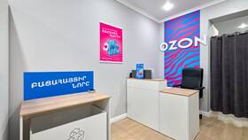Что дает Ozon при открытии пункта выдачи заказов (ПВЗ) в Домовой