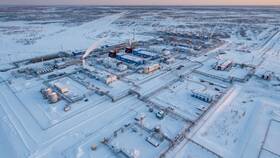 Что делает ПАО Газпром в Домовой