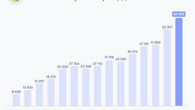 Что делать с акциями Сбербанка сейчас: стратегии для инвесторов в Домовой