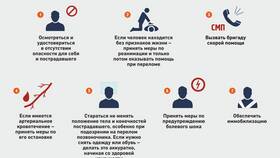 Что используют при переломе конечностей: средства и методы в Домовой
