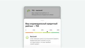 Что означает остаток по кредиту в Домовой