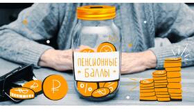 Что означает пенсионный коэффициент 100 в Домовой