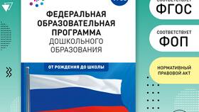 Что включает в себя содержание ФОП и ООО в Домовой