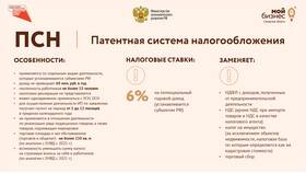 ФНС и ИП: взаимодействие предпринимателя с налоговой в Домовой