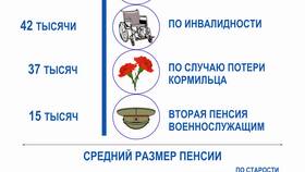 Из чего состоит страховая пенсия в Домовой