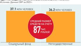 Как называются пенсионные накопления в Домовой