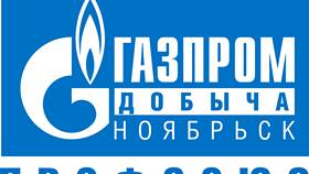 Как образовался Газпром в Домовой