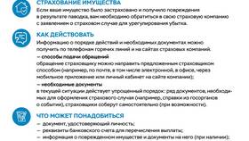 Как оценить страховую компанию в Домовой