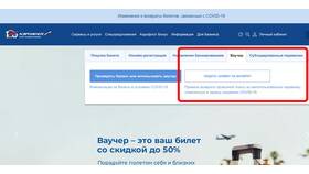 Как переоформить авиабилет Аэрофлот на другого человека в Домовой