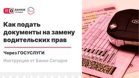 Как получить водительское удостоверение через Госуслуги в Домовой
