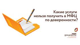 Как пользоваться услугами МФЦ в Домовой