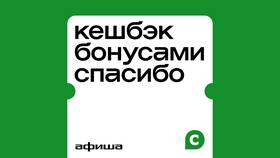 Как посмотреть бонусы СберСпасибо в Сбербанке в Домовой