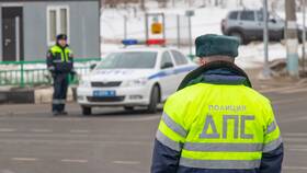 Как проверить и оплатить штрафы ГИБДД через Госуслуги в Домовой