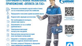 Как установить и настроить онлайн-сервисы Газпрома в Домовой