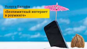 Как увеличить лимит в Билайн в Домовой