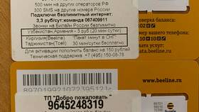 Как узнать номер SIM-карты Билайн в Домовой