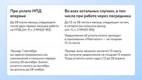 Как вернуть налог самозанятому в Домовой