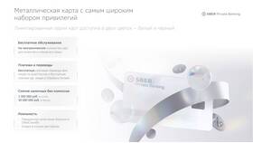 Карта Сбербанк Первый: что это в Домовой