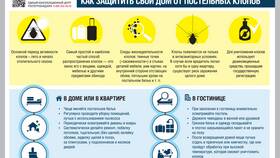 Методы борьбы с домашними клопами