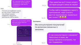 Почему на Wildberries доставка только курьером в Домовой