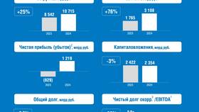 Почему нет доходов за 2024 год в Домовой