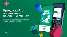 Почему система Мир Пэй не проводит оплату в Домовой