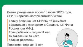 Почему СНИЛС может быть некорректным в Домовой
