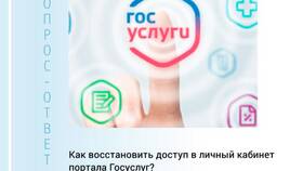 Почему возникают проблемы в личном кабинете Госуслуг в Домовой