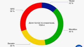 Скорость интернета МТС: от чего зависит и как ее проверить в Домовой