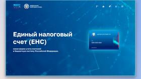 Справка о сальдо ЕНС: что это означает в Домовой