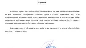 Справка о том, что действительно в Домовой
