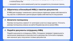 Зачем обращаться в МФЦ при покупке квартиры в Домовой